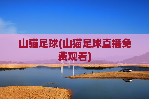 山猫足球(山猫足球直播免费观看)
