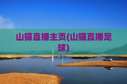 山猫直播主页(山猫直播足球)