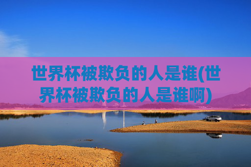 世界杯被欺负的人是谁(世界杯被欺负的人是谁啊)