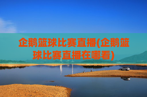 企鹅篮球比赛直播(企鹅篮球比赛直播在哪看)