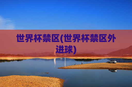 世界杯禁区(世界杯禁区外进球)