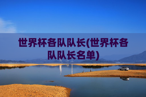 世界杯各队队长(世界杯各队队长名单)