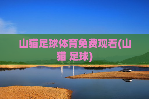 山猫足球体育免费观看(山猫 足球)