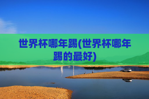 世界杯哪年踢(世界杯哪年踢的最好)