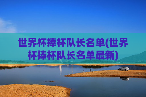 世界杯捧杯队长名单(世界杯捧杯队长名单最新)