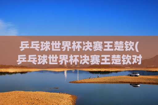 乒乓球世界杯决赛王楚钦(乒乓球世界杯决赛王楚钦对松岛辉空最新消息)