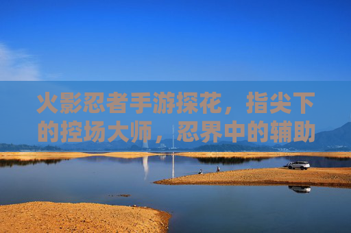 火影忍者手游探花,指尖下的控场大师,忍界中的辅助传奇,火影忍者手游探花,指尖控场大师,忍界辅助传奇