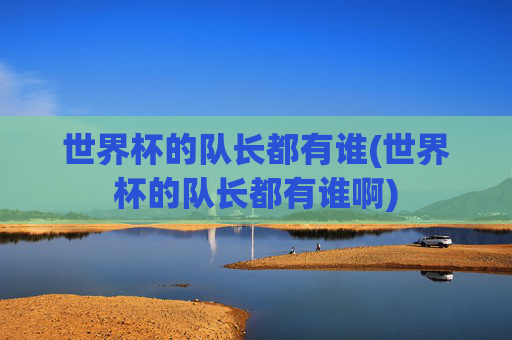 世界杯的队长都有谁(世界杯的队长都有谁啊)