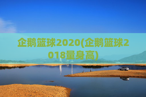 企鹅篮球2020(企鹅篮球2018量身高)
