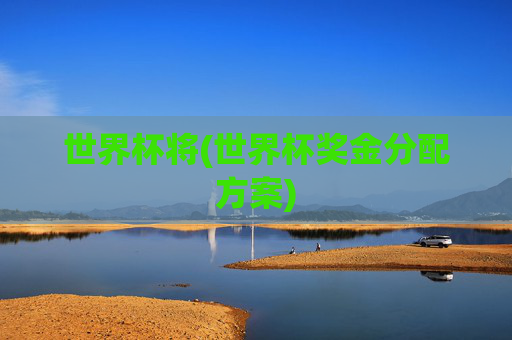 世界杯将(世界杯奖金分配方案)
