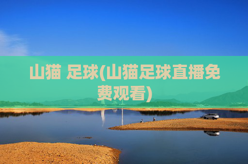 山猫 足球(山猫足球直播免费观看)