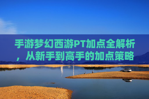 手游梦幻西游PT加点全解析,从新手到高手的加点策略指南,手游梦幻西游PT加点全解析,从新手到高手的加点策略指南