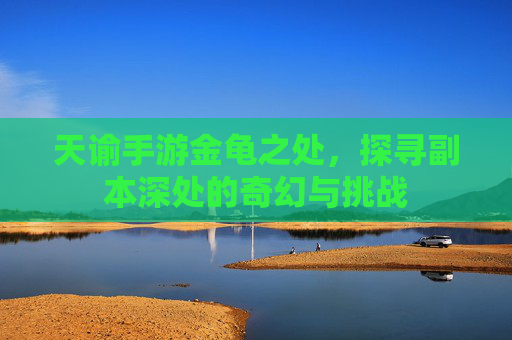 天谕手游金龟之处，探寻副本深处的奇幻与挑战