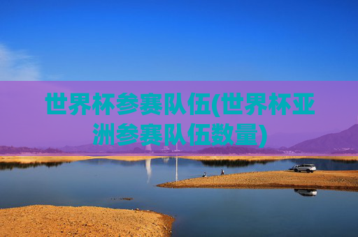世界杯参赛队伍(世界杯亚洲参赛队伍数量)