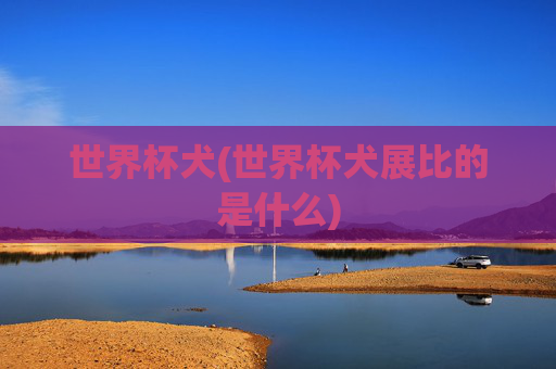 世界杯犬(世界杯犬展比的是什么)