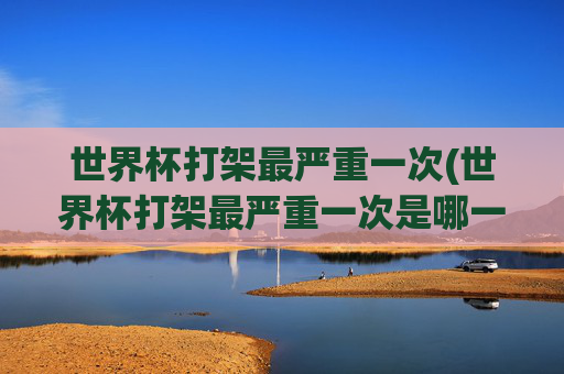 世界杯打架最严重一次(世界杯打架最严重一次是哪一年)