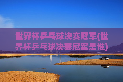 世界杯乒乓球决赛冠军(世界杯乒乓球决赛冠军是谁)