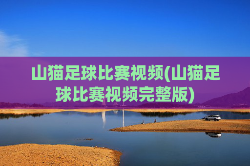 山猫足球比赛视频(山猫足球比赛视频完整版)