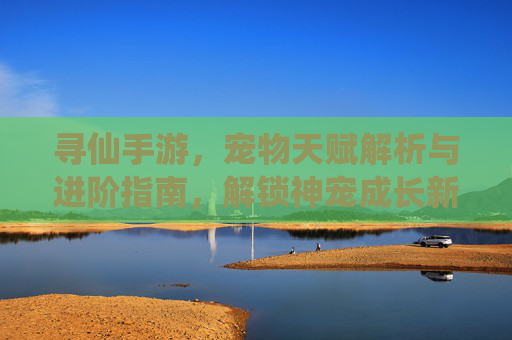 寻仙手游，宠物天赋解析与进阶指南，解锁神宠成长新篇章