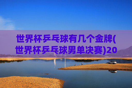 世界杯乒乓球有几个金牌(世界杯乒乓球男单决赛)2024世界杯乒乓球金牌数量及男单决赛关键信息汇总
