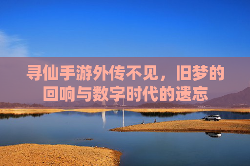 寻仙手游外传不见,旧梦的回响与数字时代的遗忘