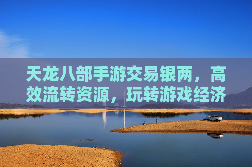 天龙八部手游交易银两,高效流转资源,玩转游戏经济新篇章,天龙八部手游交易银两,高效流转资源,玩转游戏经济新篇章