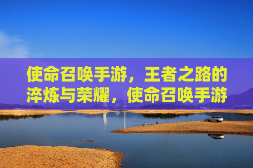 使命召唤手游,王者之路的淬炼与荣耀,使命召唤手游,王者之路的淬炼与荣耀