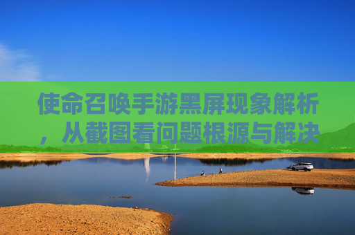 使命召唤手游黑屏现象解析,从截图看问题根源与解决方案,使命召唤手游黑屏现象解析,从截图看问题根源与解决方案