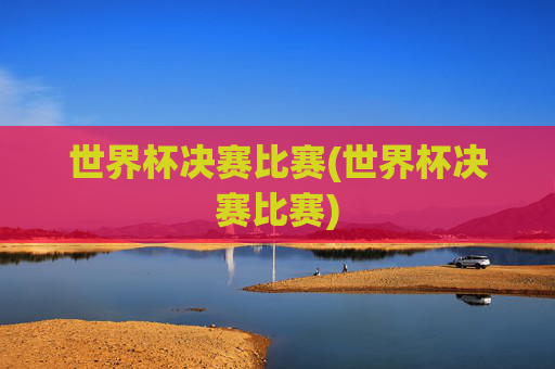 世界杯决赛比赛(世界杯决赛比赛)