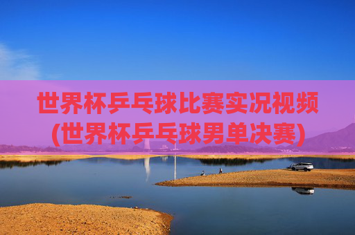 世界杯乒乓球比赛实况视频(世界杯乒乓球男单决赛)