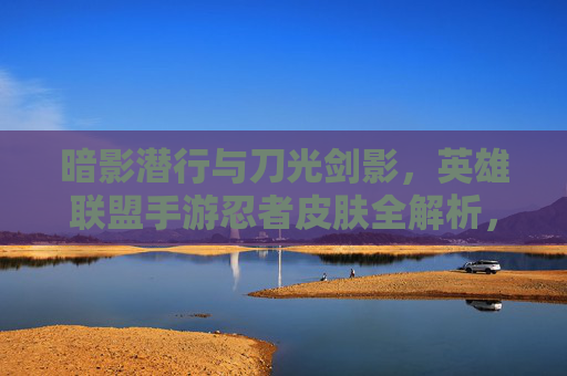 暗影潜行与刀光剑影，英雄联盟手游忍者皮肤全解析，带你体验指尖上的忍术对决