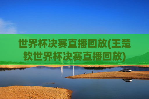 世界杯决赛直播回放(王楚钦世界杯决赛直播回放)