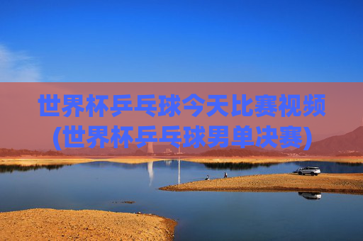 世界杯乒乓球今天比赛视频(世界杯乒乓球男单决赛)