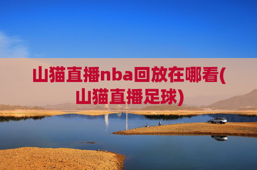 山猫直播nba回放在哪看(山猫直播足球)
