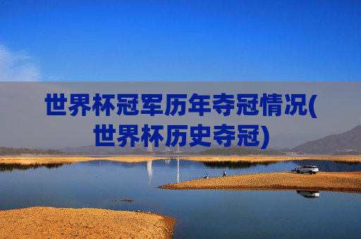 世界杯冠军历年夺冠情况(世界杯历史夺冠)