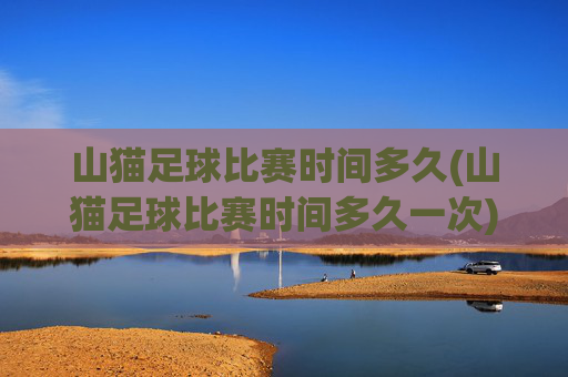 山猫足球比赛时间多久(山猫足球比赛时间多久一次)