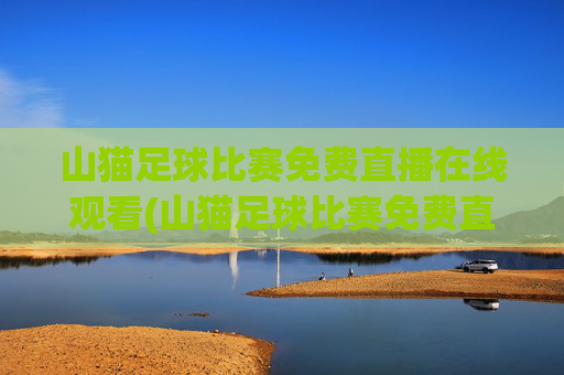 山猫足球比赛免费直播在线观看(山猫足球比赛免费直播在线观看视频)