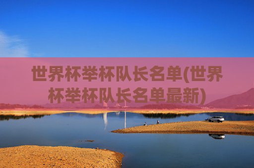 世界杯举杯队长名单(世界杯举杯队长名单最新)