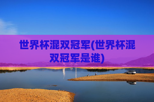 世界杯混双冠军(世界杯混双冠军是谁)