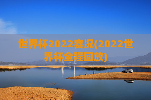 世界杯2022赛况(2022世界杯全程回放)
