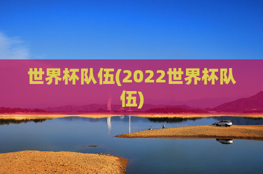 世界杯队伍(2022世界杯队伍)