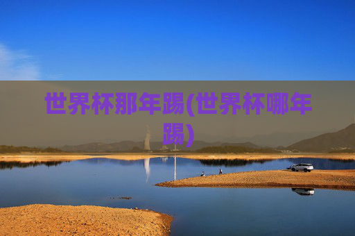 世界杯那年踢(世界杯哪年踢)