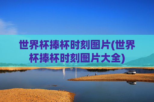 世界杯捧杯时刻图片(世界杯捧杯时刻图片大全)