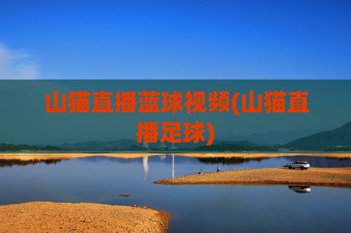 山猫直播蓝球视频(山猫直播足球)