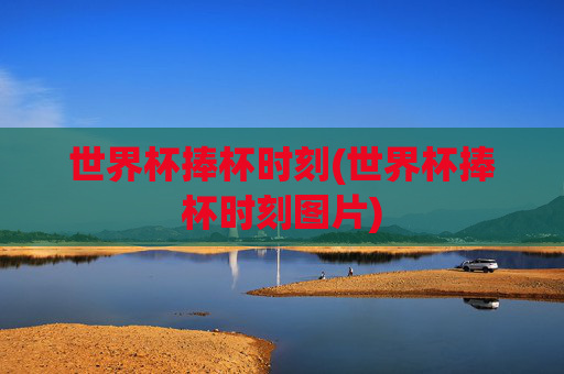 世界杯捧杯时刻(世界杯捧杯时刻图片)