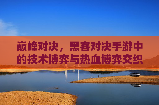 巅峰对决，黑客对决手游中的技术博弈与热血博弈交织，巅峰对决，黑客对决手游中的技术博弈与热血博弈交织
