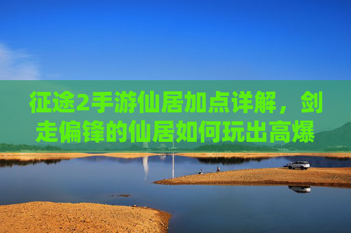 征途2手游仙居加点详解,剑走偏锋的仙居如何玩出高爆发与生存平衡?