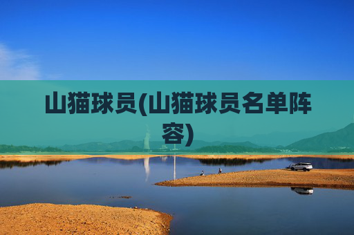 山猫球员(山猫球员名单阵容)