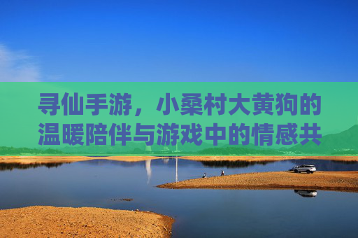 寻仙手游，小桑村大黄狗的温暖陪伴与游戏中的情感共鸣，寻仙手游，小桑村大黄狗的温暖陪伴与游戏中的情感共鸣