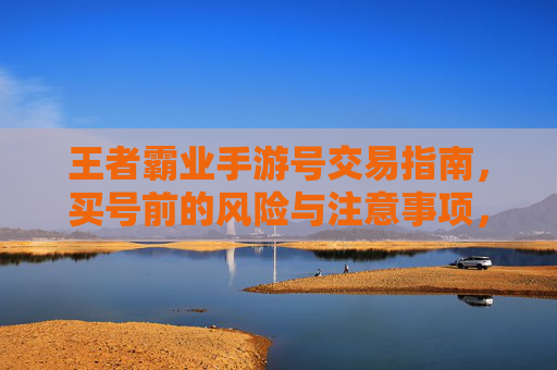 王者霸业手游号交易指南,买号前的风险与注意事项,王者霸业手游号交易指南,买号前需注意的风险与注意事项